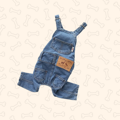 Shadow Little Denim Wrangler – Playful, Trendy & Tail-Waggingly Cute