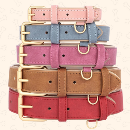 Shadow Luxury Soft Padded PU Leather Dog Collar & Leash Set