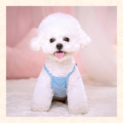 Shadow Breezy Pet Mesh Camisole – Cool, Cute & Summer-Ready