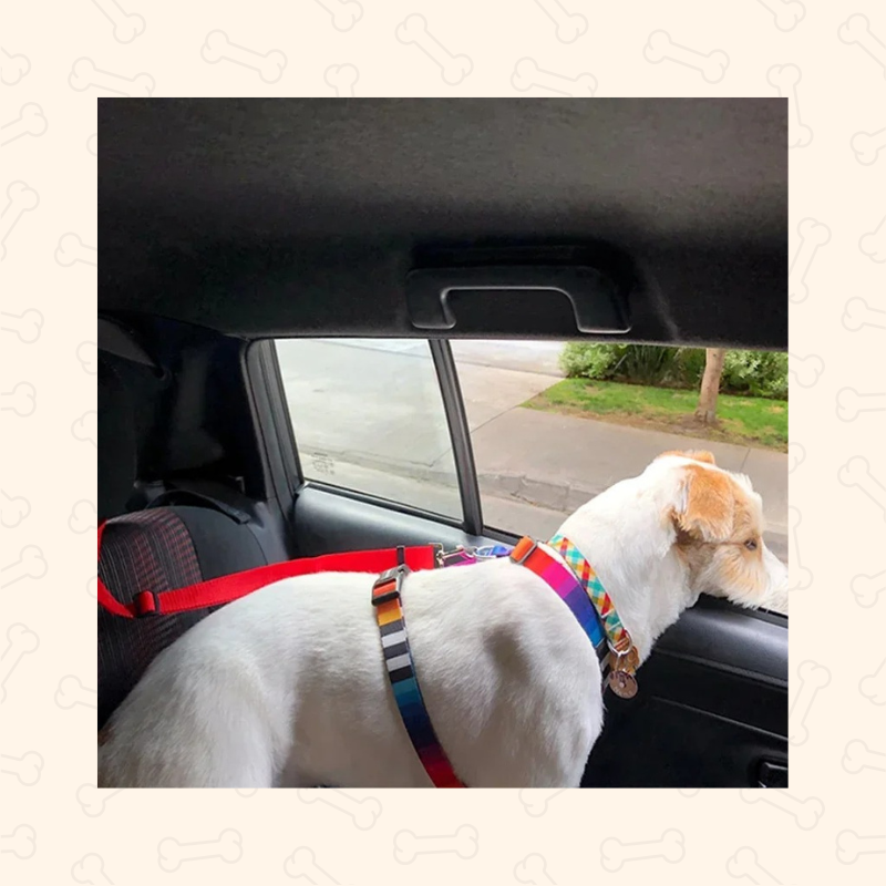 Shadow 2-in-1 Adjustable Dog Car Seat Belt & Leash