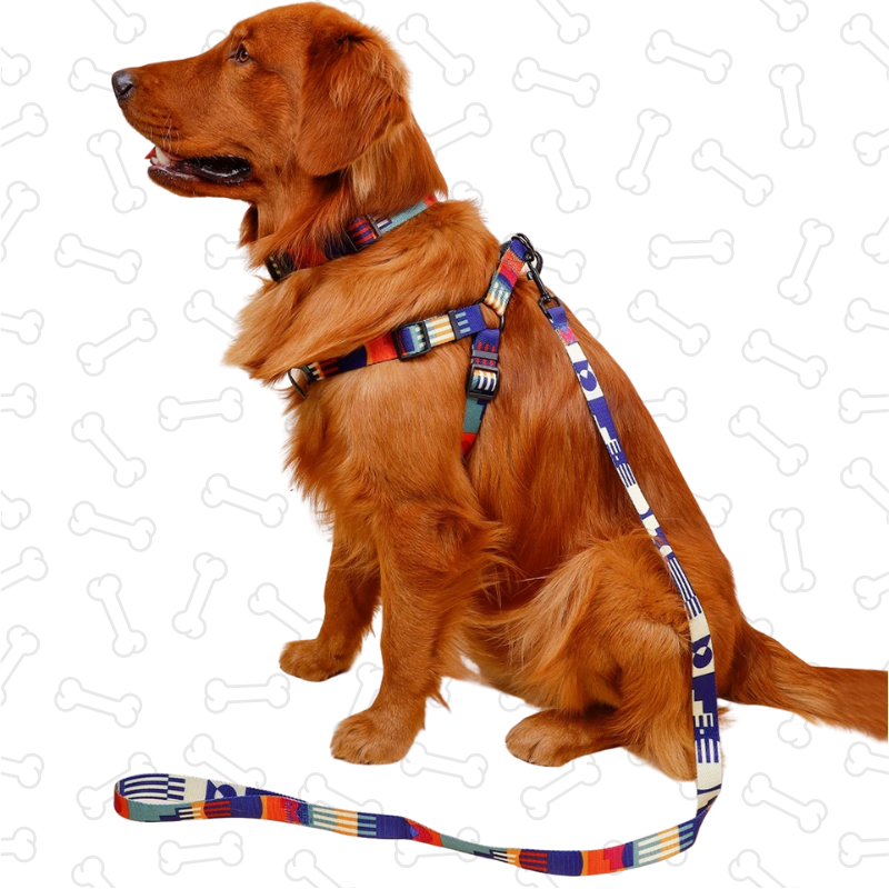 Shadow Vibrant Geo Pet Harness Set