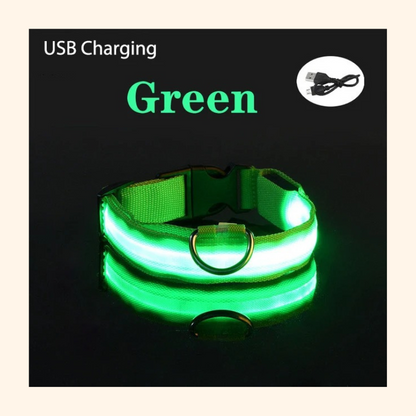 Shadow GlowGuard LED Dog Collar
