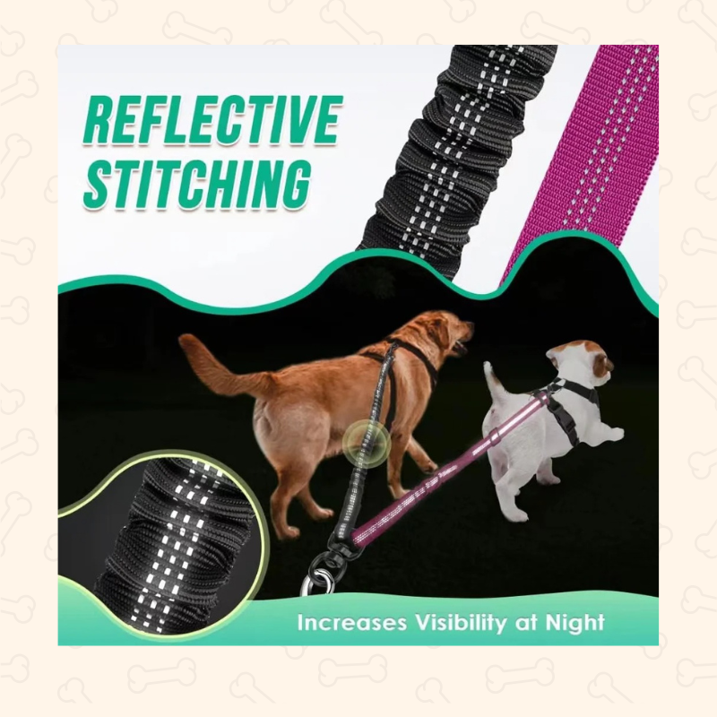 Shadow Tangle-Free Dual Dog Leash