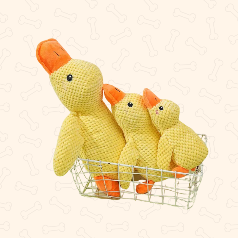 Shadow Snuggle Quack Plush Dog Toy – Squeaky & Durable Cuddle Companion
