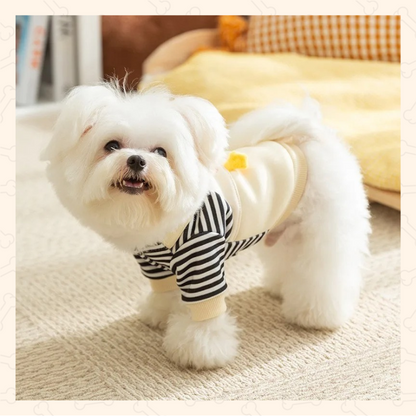 Shadow Chic Pup Hoodie Coat – Lightweight, Stylish & Built for Comfort