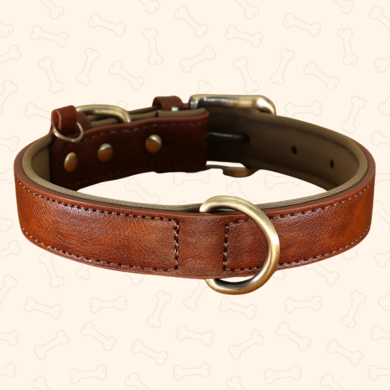 ™Shadow Premium Soft Padded PU Leather Dog Collar