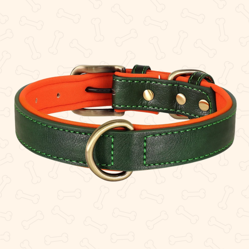 ™Shadow Premium Soft Padded PU Leather Dog Collar