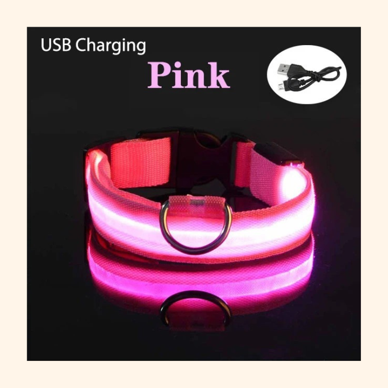 Shadow GlowGuard LED Dog Collar