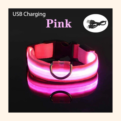 Shadow GlowGuard LED Dog Collar