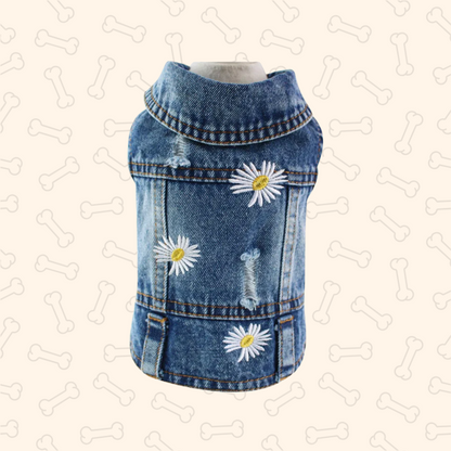 Shadow Pawfect Denim Dog Jacket – Cool, Comfy & Full of Attitude