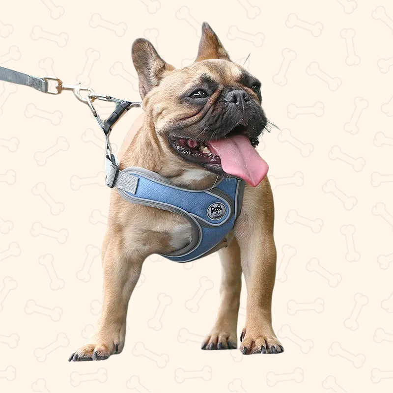 Shadow Reflective Comfort Fit Dog Harness & Leash Set