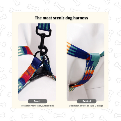 Shadow Vibrant Geo Pet Harness Set