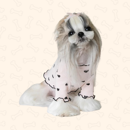 Shadow Cozy Paws Winter Waffle Sweater