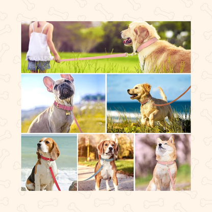 Shadow Luxury Soft Padded PU Leather Dog Collar & Leash Set