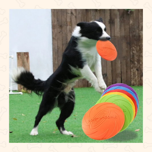 Shadow Durable Dog Frisbee – Soft, Chew-Resistant Flying Disc