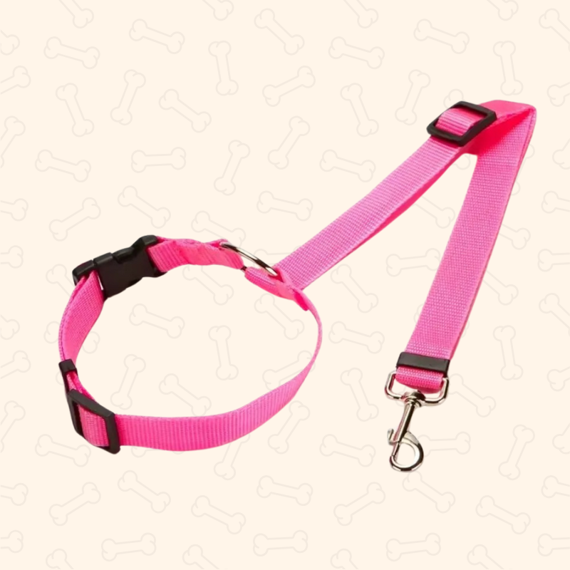 Shadow 2-in-1 Adjustable Dog Car Seat Belt & Leash