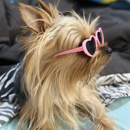 Shadow Breathable Pet Sun Hat – Lightweight & Stylish
