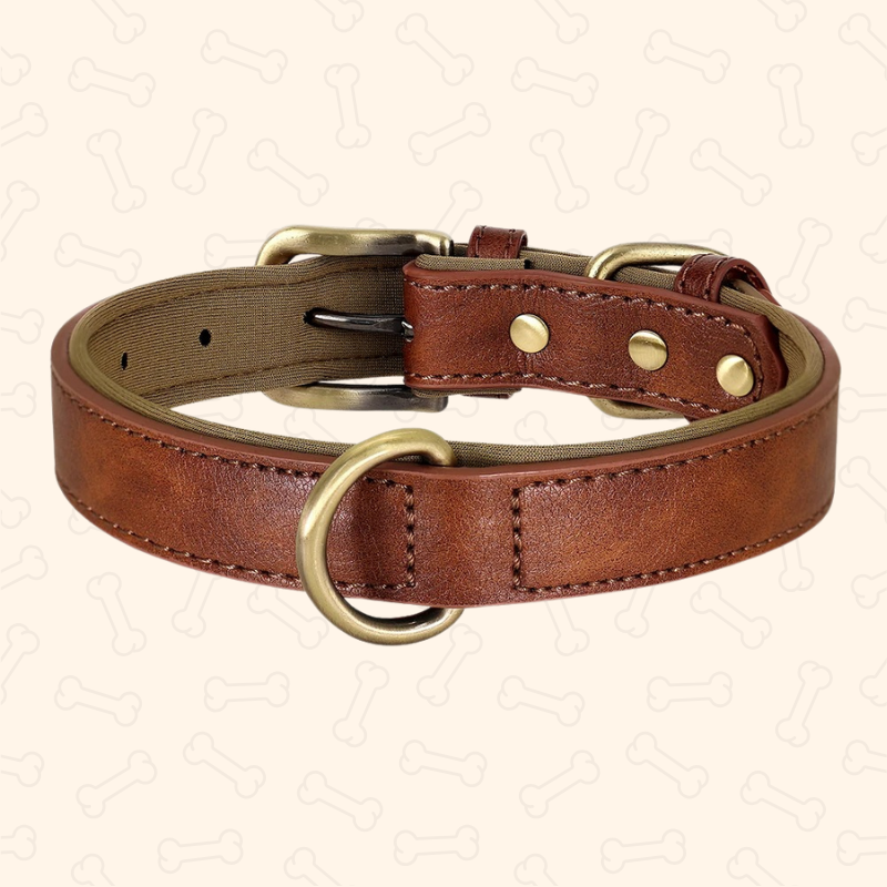 ™Shadow Premium Soft Padded PU Leather Dog Collar