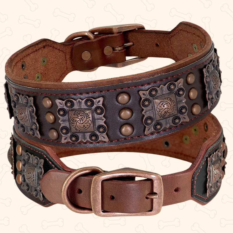 Shadow Royal Guard 2-Inch Wide Leather Dog Collar