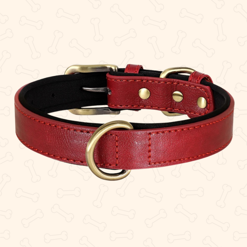 ™Shadow Premium Soft Padded PU Leather Dog Collar