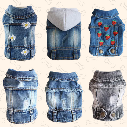 Shadow Pawfect Denim Dog Jacket – Cool, Comfy & Full of Attitude