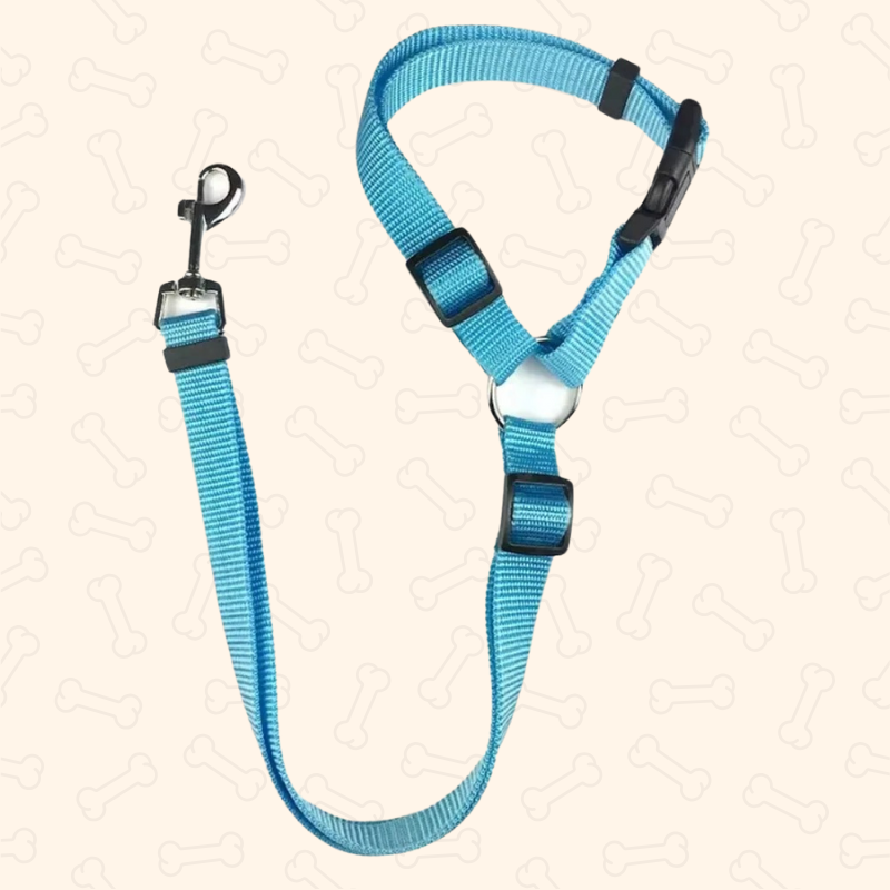 Shadow 2-in-1 Adjustable Dog Car Seat Belt & Leash