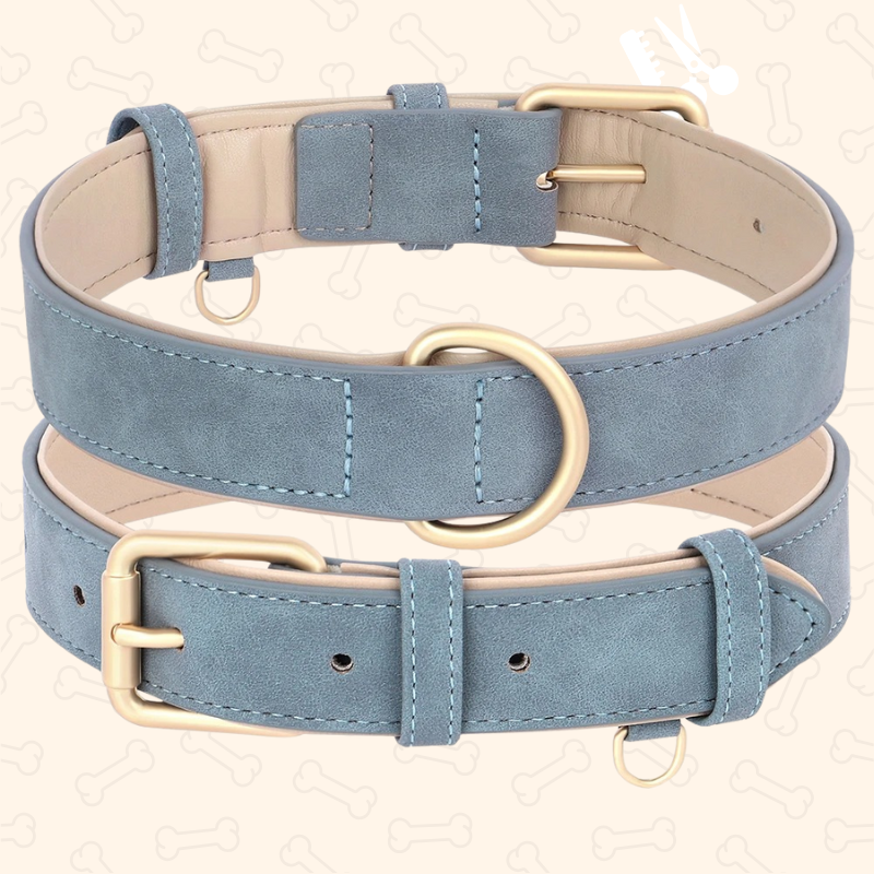 Shadow Luxury Soft Padded PU Leather Dog Collar & Leash Set