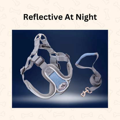 Shadow Reflective Comfort Fit Dog Harness & Leash Set