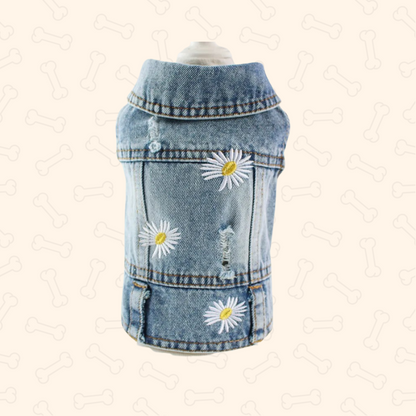 Shadow Pawfect Denim Dog Jacket – Cool, Comfy & Full of Attitude